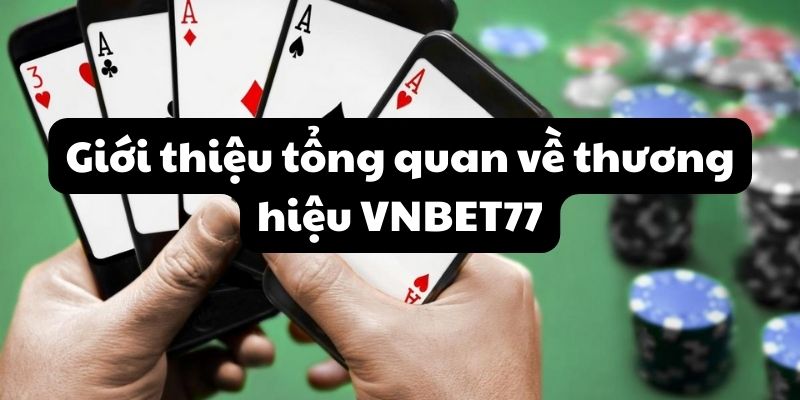 Giới thiệu tổng quan về thương hiệu VNBET77